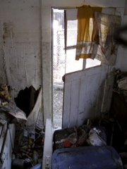 Julie_Austin_Back_Door