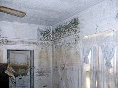 Julie_Austin_Living_Room