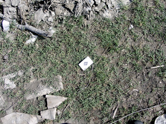 Playing Card
