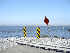Shell Beach