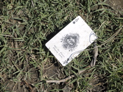 Ace of Spades