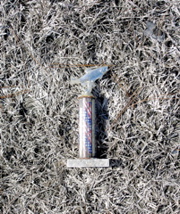 Fishing Trophy