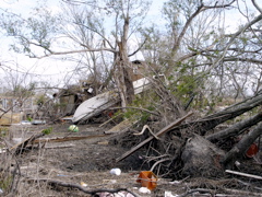 Boat in Tree