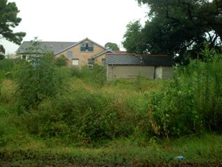 Coop's lot, August 28, 2007